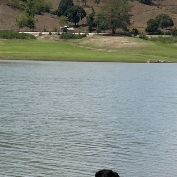 HIV Vadodara(20963)