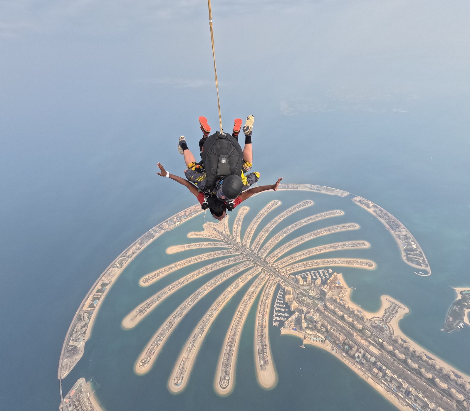 HIV Hyderabad(19809)