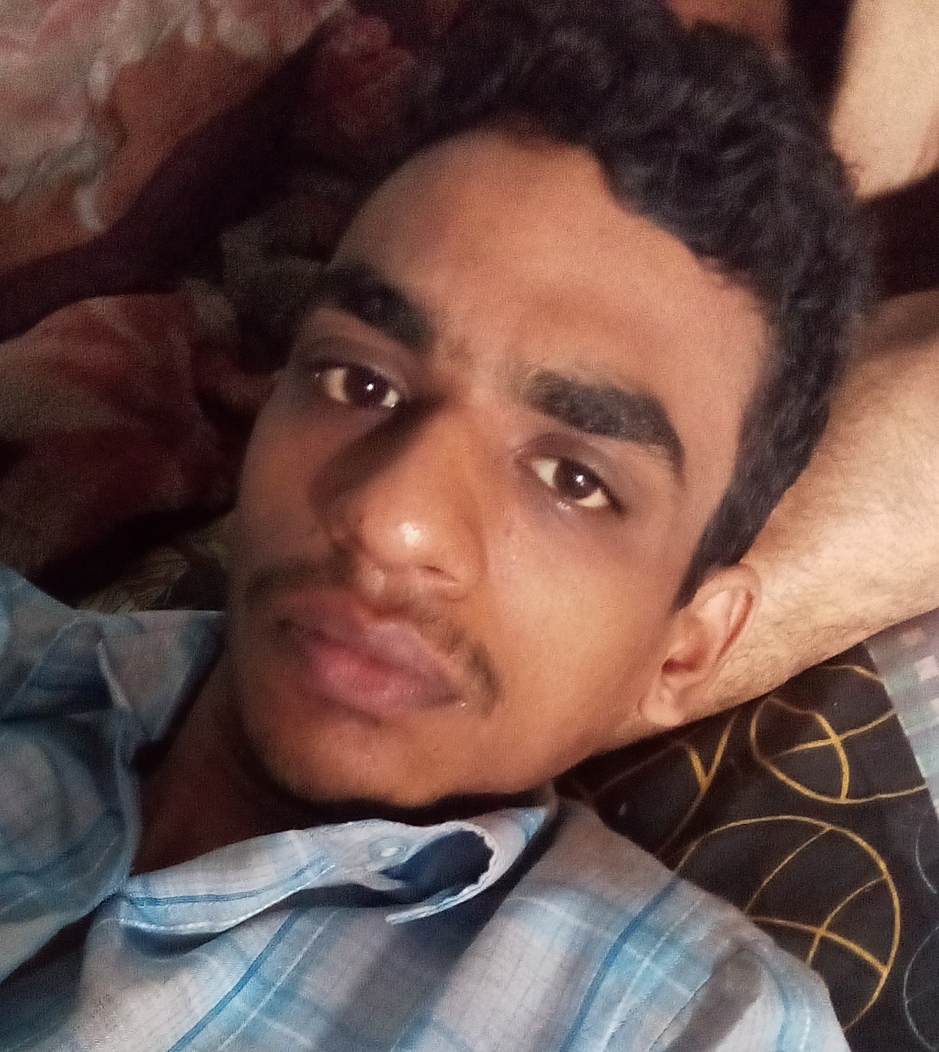 HIV Panipat(22766)
