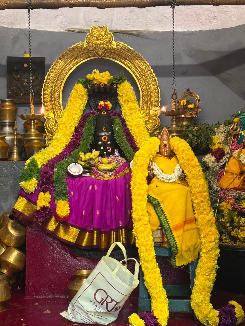 HIV Chennai(22815)